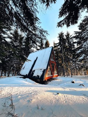 skoruśina utulna.jpeg