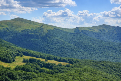 Halicz i przełęcz Leszczyckiego.png